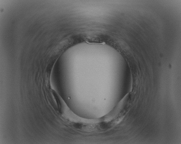 X0000067890129200604271836