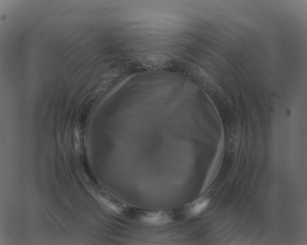 X0000067890130200604271836