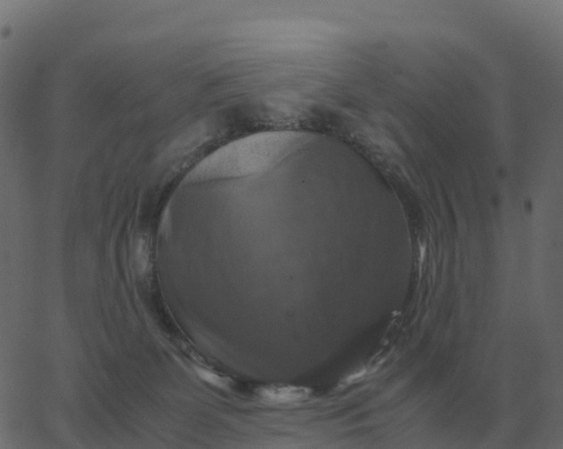 X0000067890131200604271836