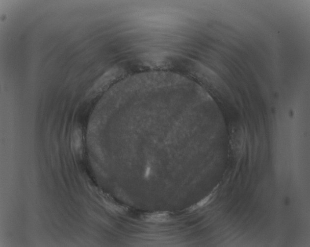 X0000067890132200604271836