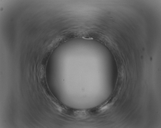 X0000067890133200604271836