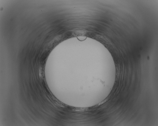 X0000067890134200604271836