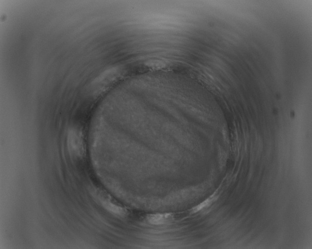 X0000067890136200604271836