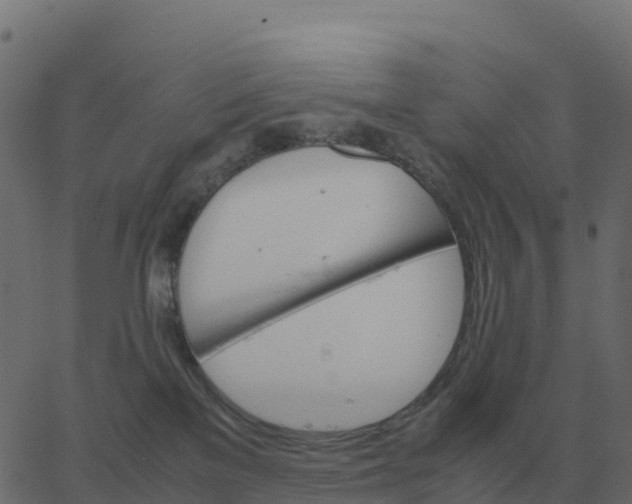 X0000067890137200604271836