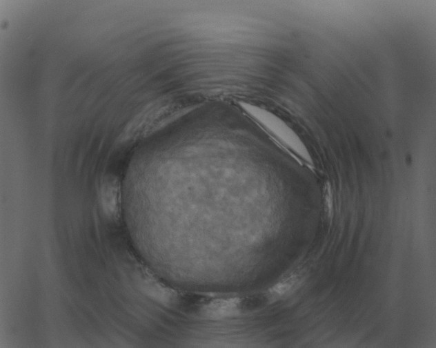 X0000067890138200604271836