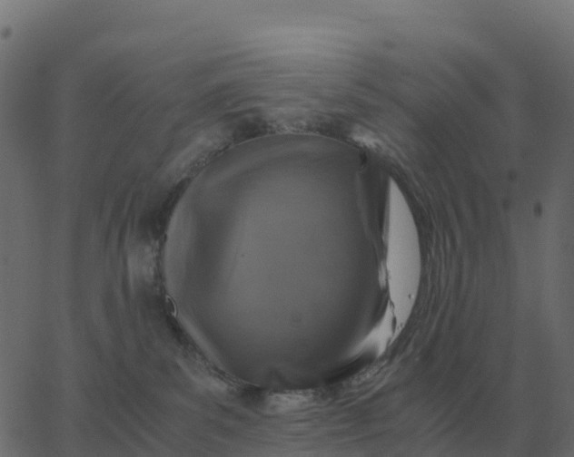 X0000067890139200604271836