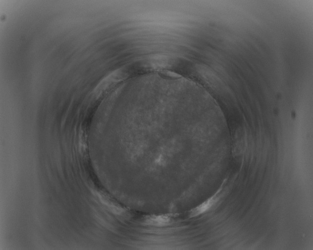 X0000067890140200604271836