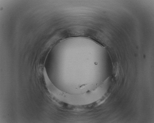 X0000067890141200604271836