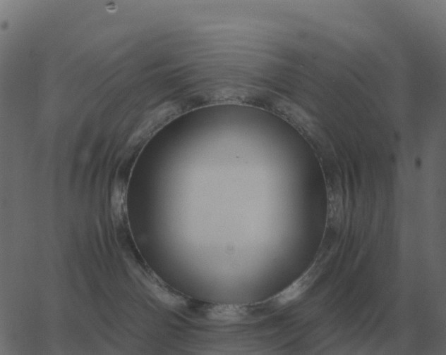 X0000067890142200604271836