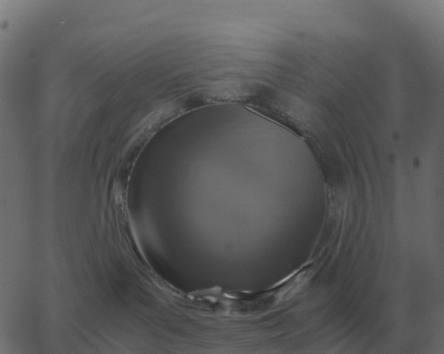 X0000067890143200604271836