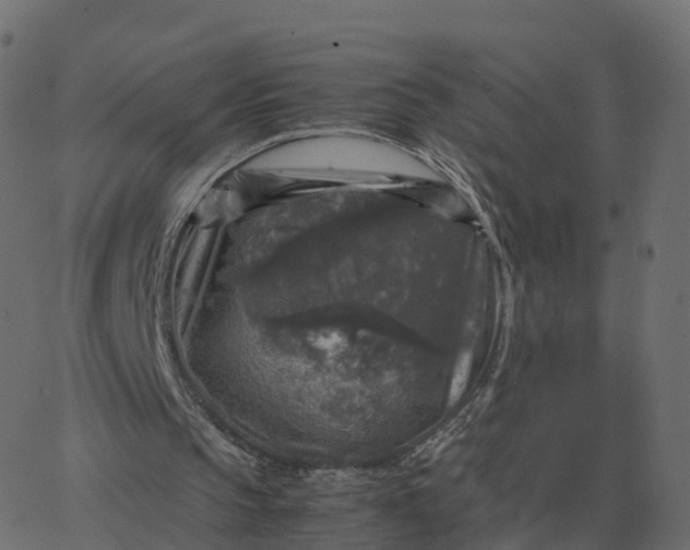 X0000067890145200604271835