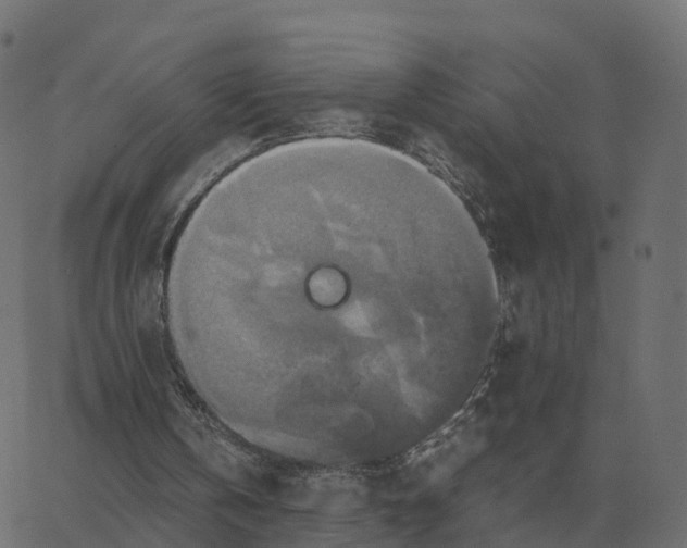 X0000067890146200604271835