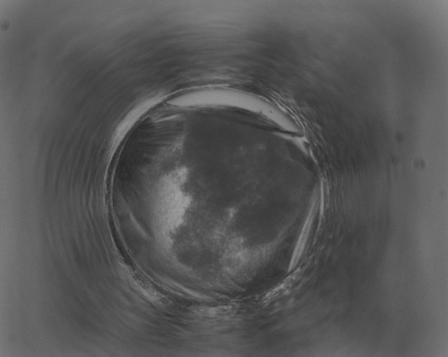 X0000067890147200604271835