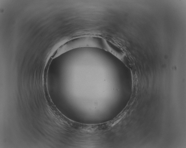 X0000067890148200604271835