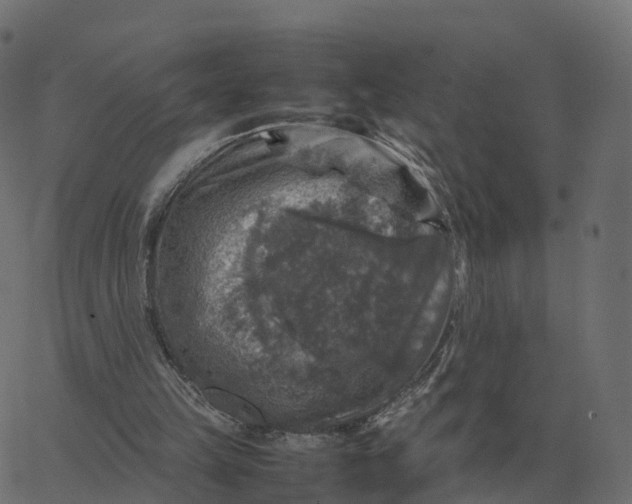 X0000067890149200604271835