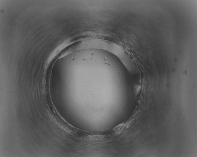 X0000067890150200604271835