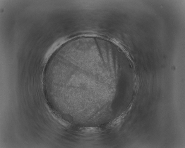 X0000067890151200604271835