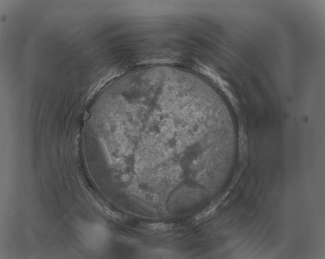 X0000067890153200604271835