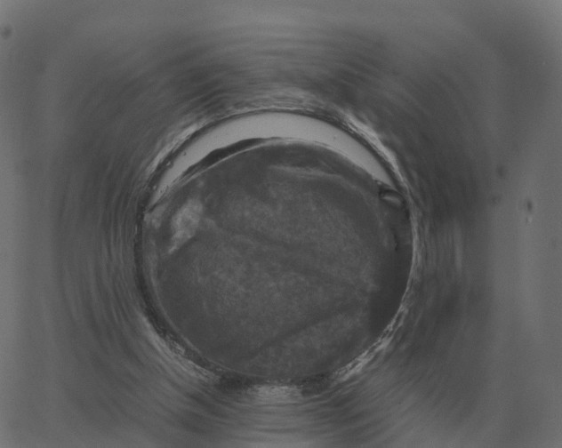 X0000067890154200604271835