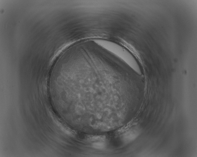 X0000067890155200604271835