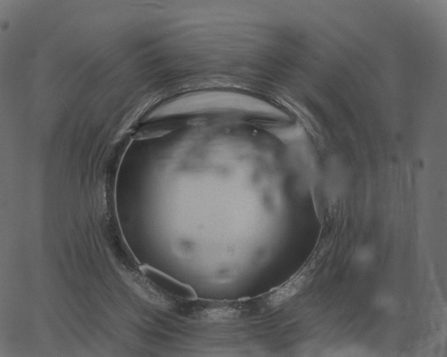 X0000067890158200604271835