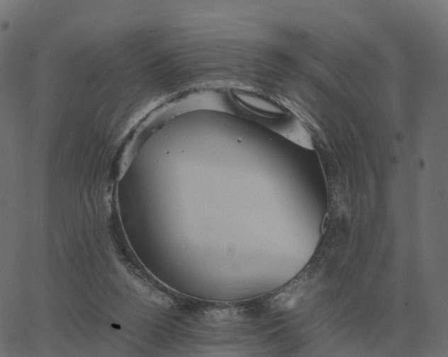 X0000067890160200604271835