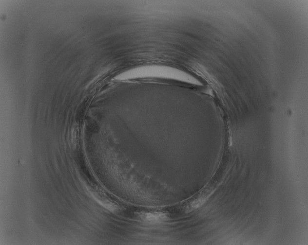 X0000067890165200604271835