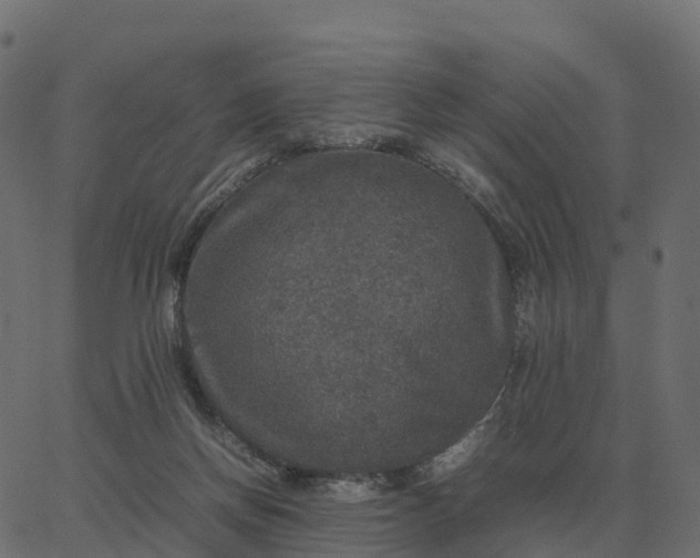 X0000067890166200604271835