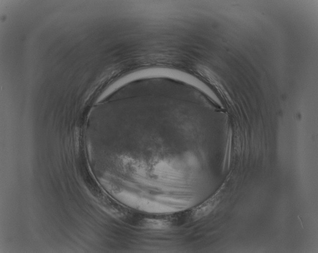 X0000067890167200604271835