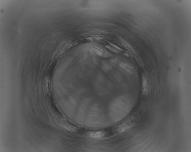 X0000067890169200604271835