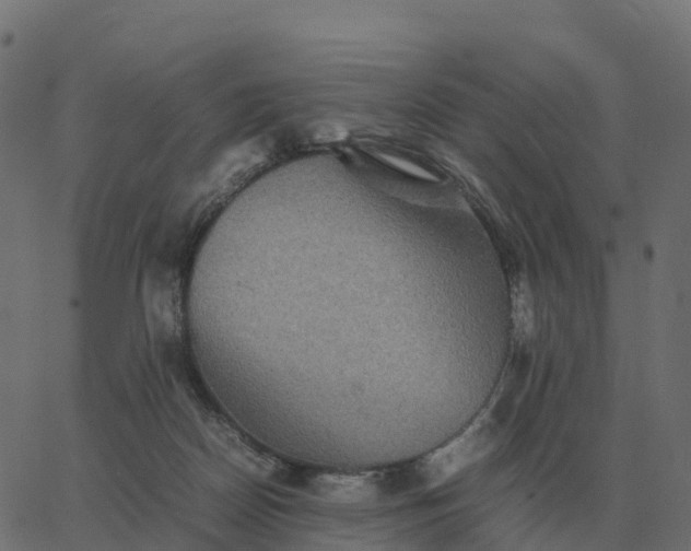 X0000067890170200604271836