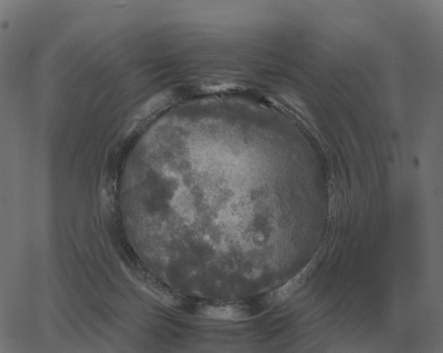 X0000067890171200604271836