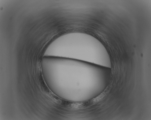 X0000067890172200604271836