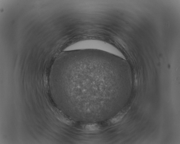 X0000067890173200604271836