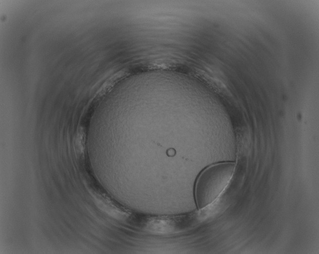 X0000067890174200604271836