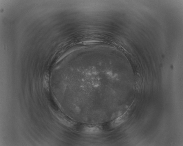 X0000067890175200604271836