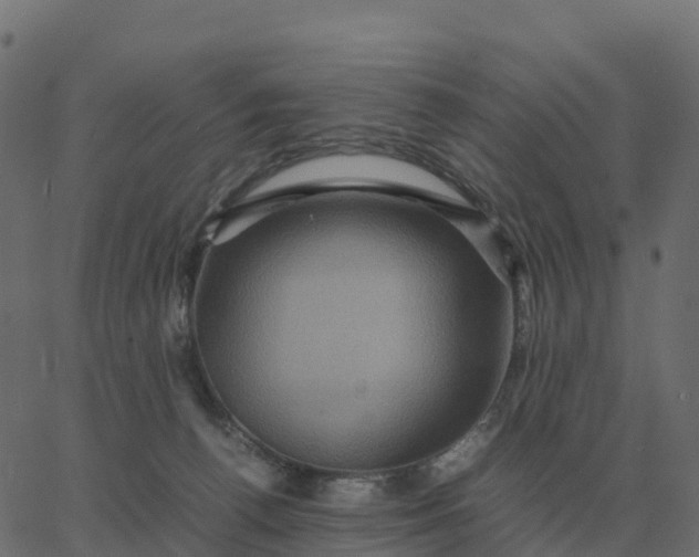 X0000067890176200604271836