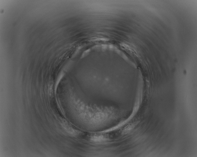 X0000067890177200604271836