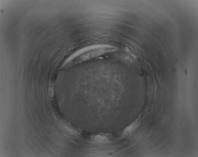 X0000067890180200604271836