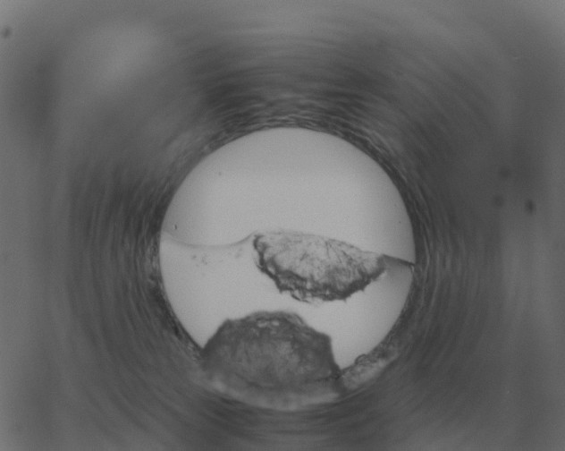 X0000067890181200604271836