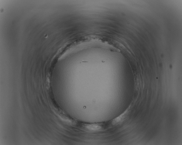 X0000067890183200604271836