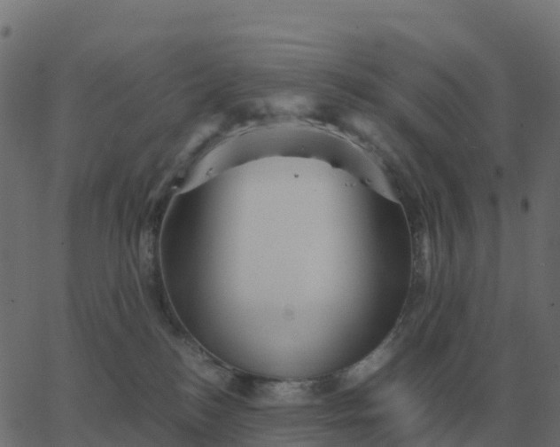 X0000067890184200604271836