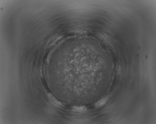 X0000067890185200604271836