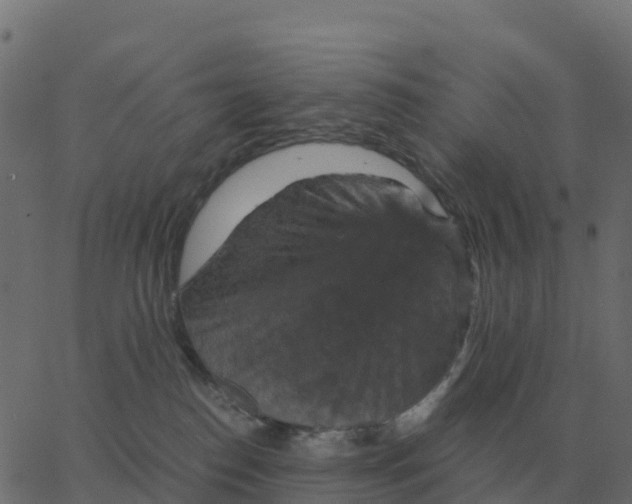 X0000067890186200604271836