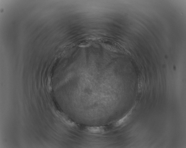 X0000067890187200604271836