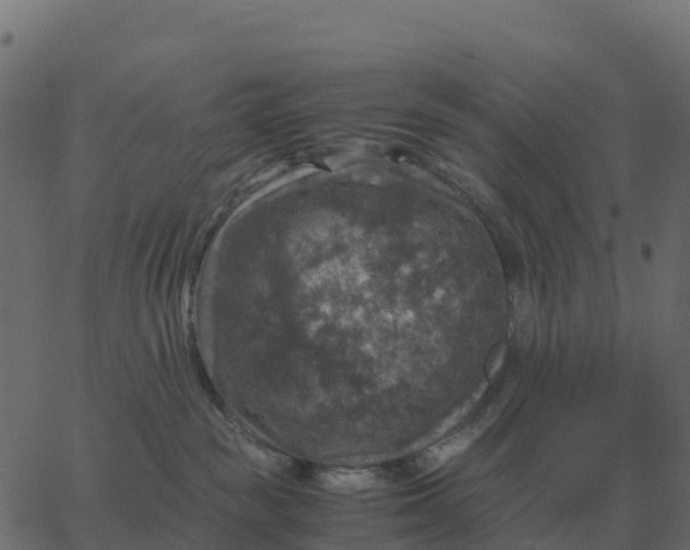 X0000067890189200604271836