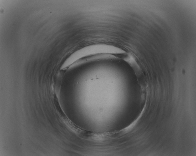 X0000067890190200604271836