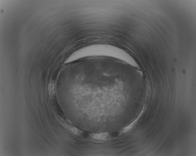 X0000067890191200604271836