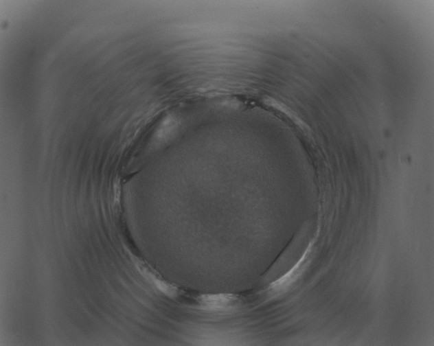 X0000067890192200604271836