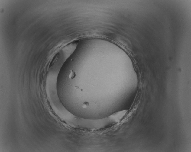 X0000067890193200604271835